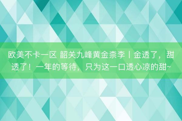 欧美不卡一区 韶关九峰黄金柰李丨金透了，甜透了！一年的等待，只为这一口透心凉的甜~