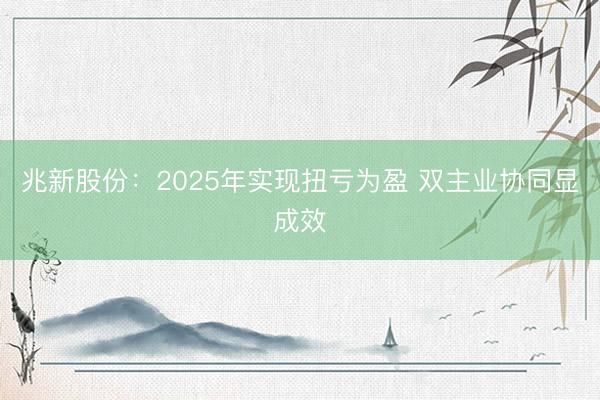 兆新股份：2025年实现扭亏为盈 双主业协同显成效