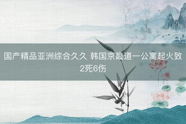 国产精品亚洲综合久久 韩国京畿道一公寓起火致2死6伤