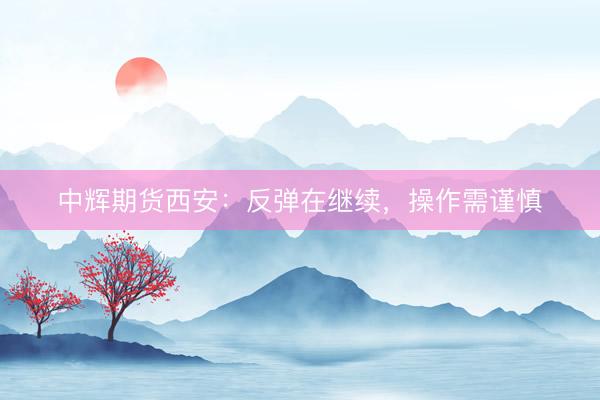 中辉期货西安：反弹在继续，操作需谨慎