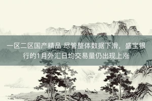 一区二区国产精品 尽管整体数据下滑，盛宝银行的1月外汇日均交易量仍出现上涨