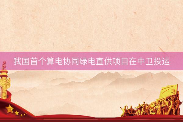 我国首个算电协同绿电直供项目在中卫投运