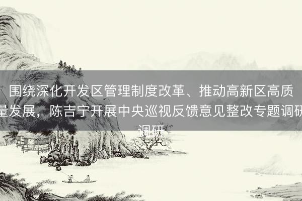 围绕深化开发区管理制度改革、推动高新区高质量发展，陈吉宁开展中央巡视反馈意见整改专题调研