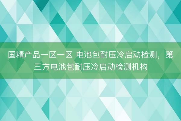 国精产品一区一区 电池包耐压冷启动检测,第三方电池包耐压冷启动检测机构