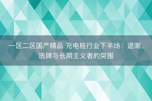 一区二区国产精品 充电桩行业下半场：退潮、洗牌与长期主义者的突围