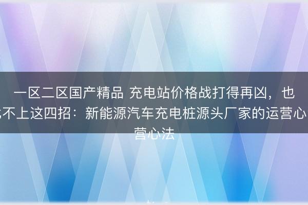 一区二区国产精品 充电站价格战打得再凶，也比不上这四招：新能源汽车充电桩源头厂家的运营心法