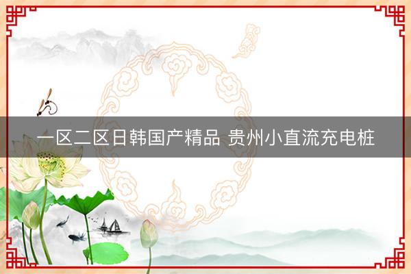 一区二区日韩国产精品 贵州小直流充电桩