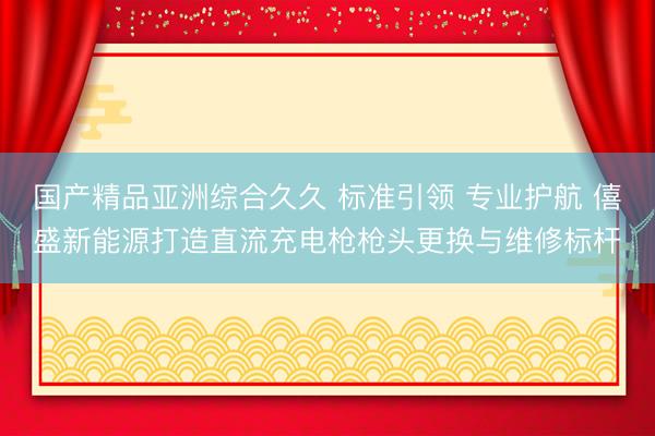 国产精品亚洲综合久久 标准引领 专业护航 僖盛新能源打造直流充电枪枪头更换与维修标杆