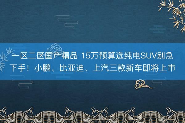一区二区国产精品 15万预算选纯电SUV别急下手！小鹏、比亚迪、上汽三款新车即将上市
