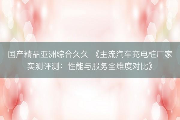 国产精品亚洲综合久久 《主流汽车充电桩厂家实测评测：性能与服务全维度对比》