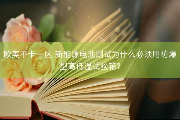 欧美不卡一区 新能源电池测试为什么必须用防爆型高低温试验箱？