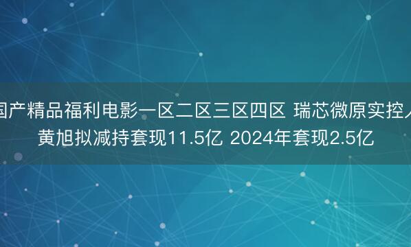 国产精品福利电影一区二区三区四区 瑞芯微原实控人黄旭拟减持套现11.5亿 2024年套现2.5亿