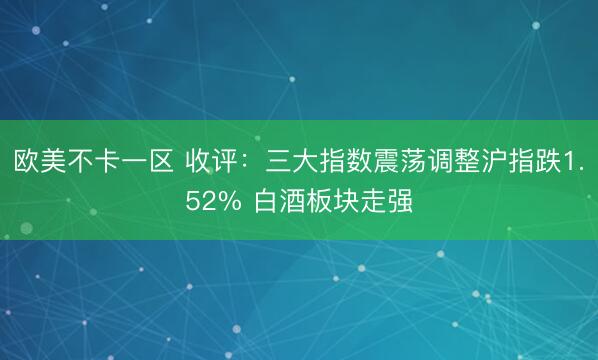 欧美不卡一区 收评：三大指数震荡调整沪指跌1.52% 白酒板块走强