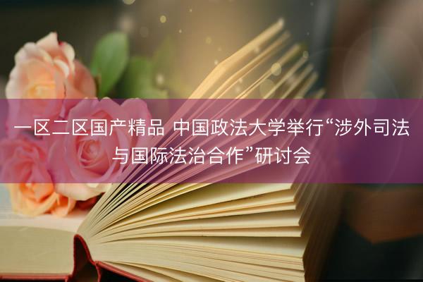 一区二区国产精品 中国政法大学举行“涉外司法与国际法治合作”研讨会