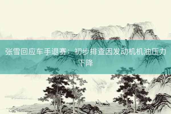 张雪回应车手退赛:初步排查因发动机机油压力下降
