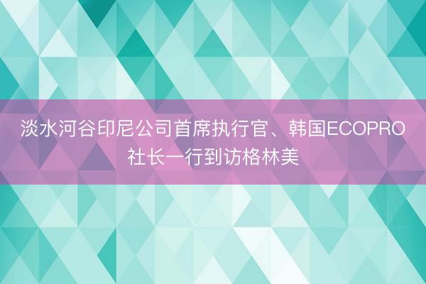 淡水河谷印尼公司首席执行官、韩国ECOPRO社长一行到访格林美