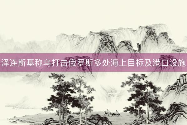 泽连斯基称乌打击俄罗斯多处海上目标及港口设施