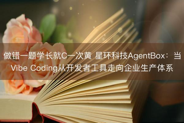 做错一题学长就C一次黄 星环科技AgentBox：当Vibe Coding从开发者工具走向企业生产体系