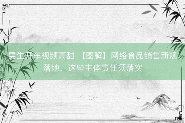男生开车视频高甜 【图解】网络食品销售新规落地，<a href=