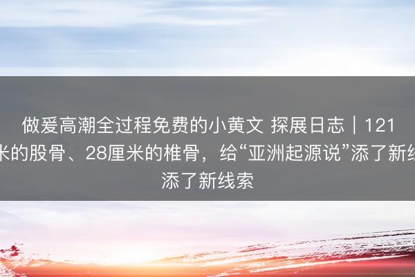做爰高潮全过程免费的小黄文 探展日志｜121厘米的股骨、28厘米的椎骨，给“亚洲起源说”添了新线索