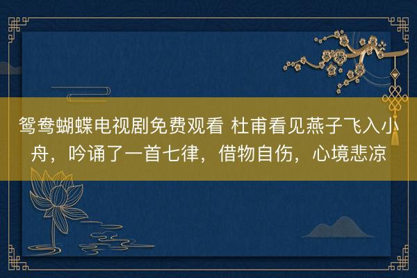 鸳鸯蝴蝶电视剧免费观看 杜甫看见燕子飞入小舟，吟诵了一首七律，借物自伤，心境悲凉
