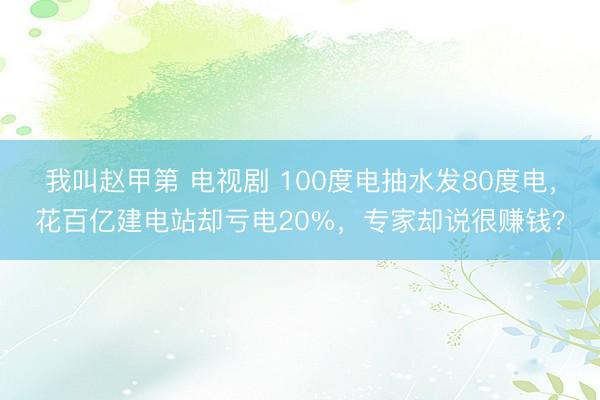 我叫赵甲第 电视剧 100度电抽水发80度电，花百亿建电站却亏电20%，专家却说很赚钱？