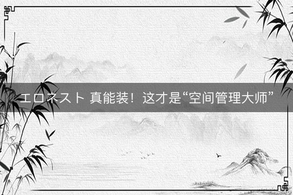 エロネスト 真能装！这才是“空间管理大师”