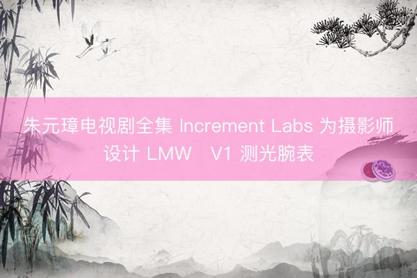 朱元璋电视剧全集 Increment Labs 为摄影师设计 LMW‑V1 测光腕表