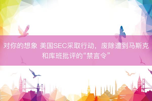 对你的想象 美国SEC采取行动，废除遭到马斯克和库班批评的“禁言令”