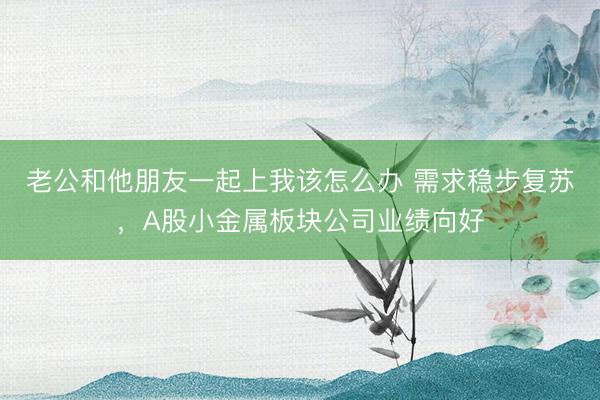 老公和他朋友一起上我该怎么办 需求稳步复苏，A股小金属板块公司业绩向好