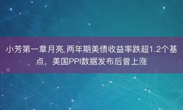 小芳第一章月亮 两年期美债收益率跌超1.2个基点，美国PPI数据发布后曾上涨