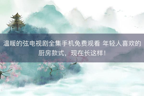 温暖的弦电视剧全集手机免费观看 年轻人喜欢的厨房款式，现在长这样！