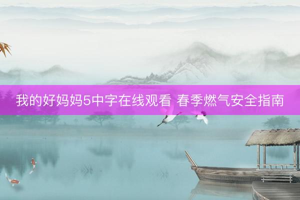 我的好妈妈5中字在线观看 春季燃气安全指南