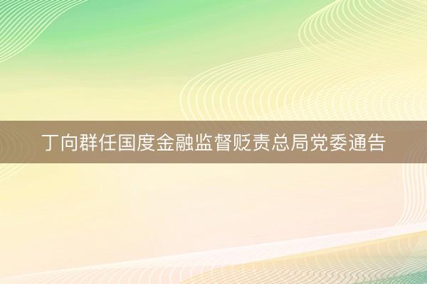 丁向群任国度金融监督贬责总局党委通告