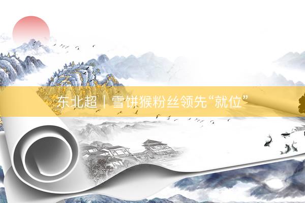 东北超｜雪饼猴粉丝领先“就位”