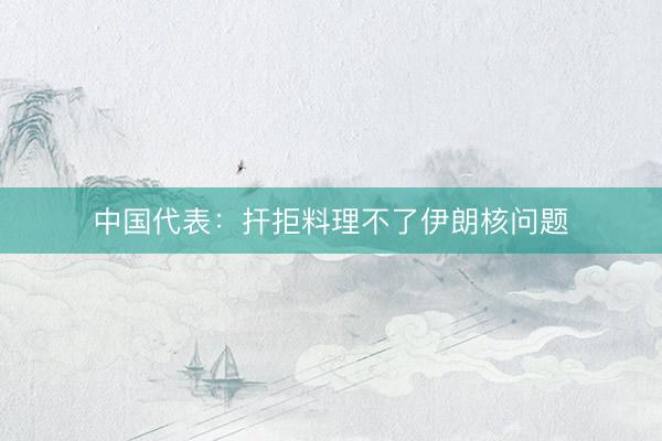 中国代表：扞拒料理不了伊朗核问题