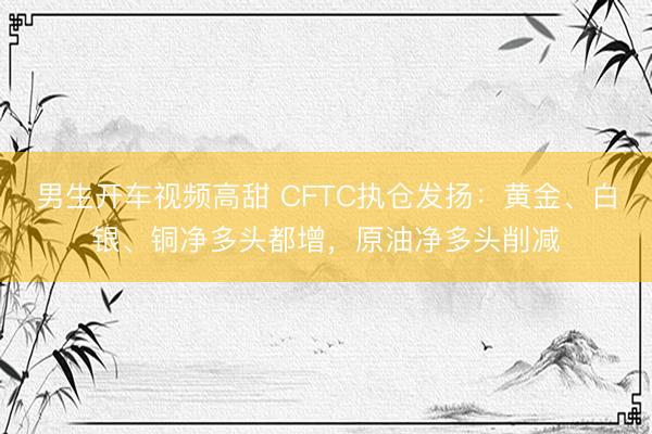 男生开车视频高甜 CFTC执仓发扬：黄金、白银、铜净多头都增，原油净多头削减