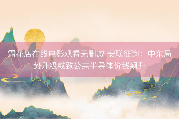 霜花店在线电影观看无删减 安联征询：中东局势升级或致公共半导体价钱飙升