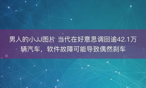 男人的小JJ图片 当代在好意思调回逾42.1万辆汽车，软件故障可能导致偶然刹车
