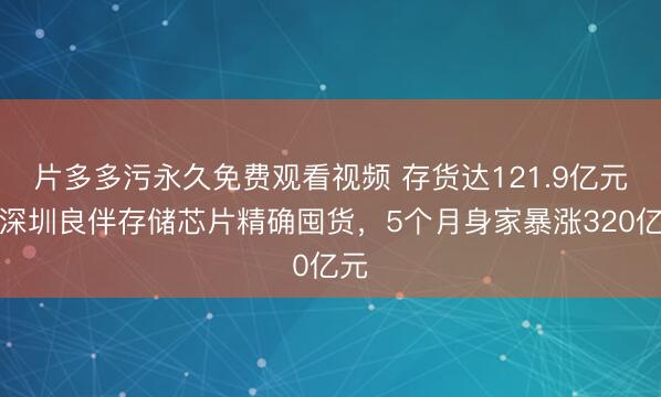 片多多污永久免费观看视频 存货达121.9亿元！深圳良伴存储芯片精确囤货，5个月身家暴涨320亿元