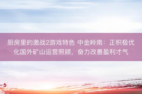 厨房里的激战2游戏特色 中金岭南：正积极优化国外矿山运营照顾，奋力改善盈利才气