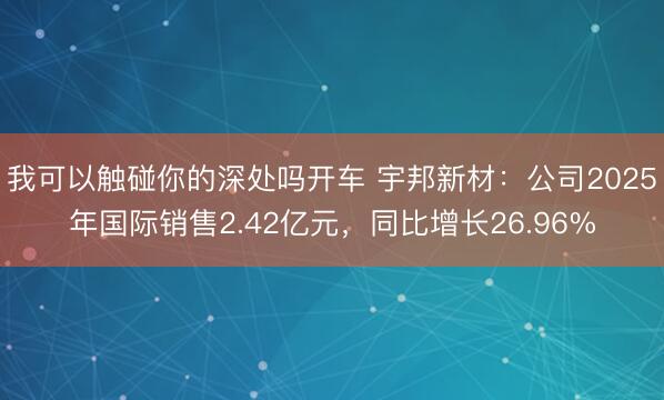 我可以触碰你的深处吗开车 宇邦新材：公司2025年国际销售2.42亿元，同比增长26.96%