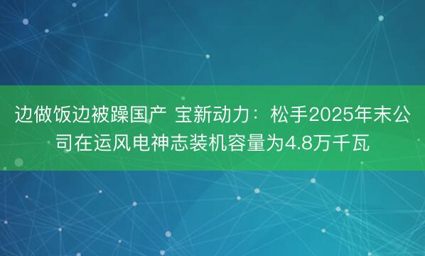 边做饭边被躁国产 宝新动力：松手2025年末公司在运风电神志装机容量为4.8万千瓦