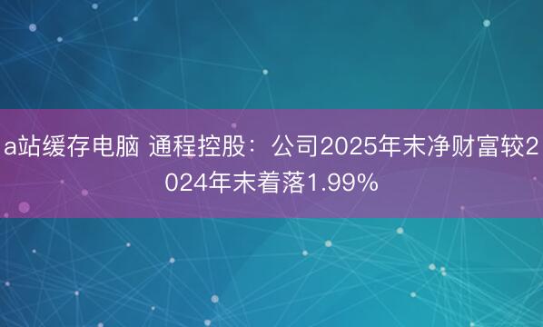 a站缓存电脑 通程控股：公司2025年末净财富较2024年末着落1.99%