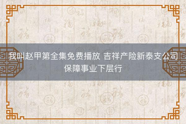 我叫赵甲第全集免费播放 吉祥产险新泰支公司保障事业下层行