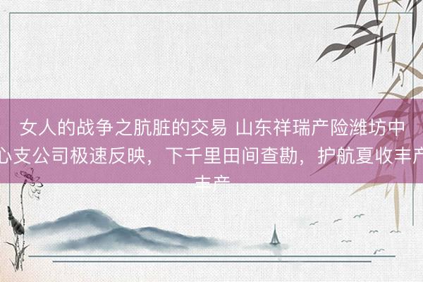 女人的战争之肮脏的交易 山东祥瑞产险潍坊中心支公司极速反映,下千里田间查勘,护航夏收丰产