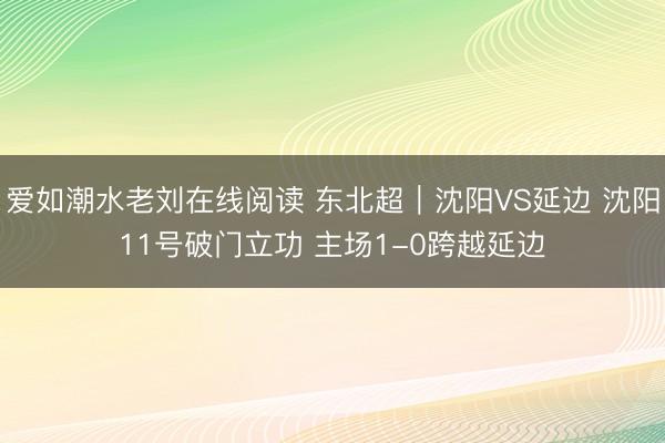 爱如潮水老刘在线阅读 东北超｜沈阳VS延边 沈阳11号破门立功 主场1-0跨越延边