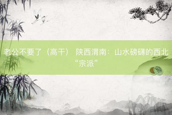 老公不要了（高干） 陕西渭南：山水磅礴的西北“宗派”