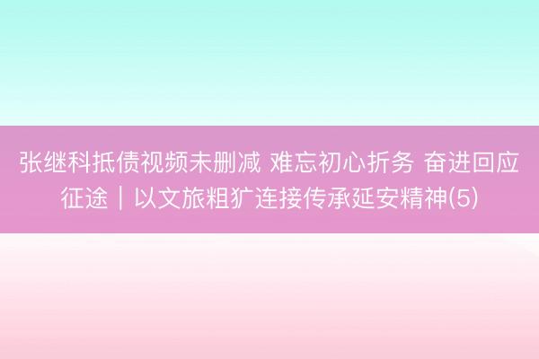 张继科抵债视频未删减 难忘初心折务 奋进回应征途|以文旅粗犷连接传承延安精神(5)