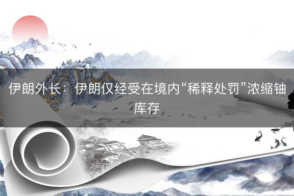 伊朗外长：伊朗仅经受在境内“稀释处罚”浓缩铀库存